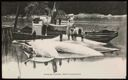 Image of Whale Fishing, Newfoundland or Hawke Harbour, Labrador?